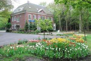 tulip-gedung